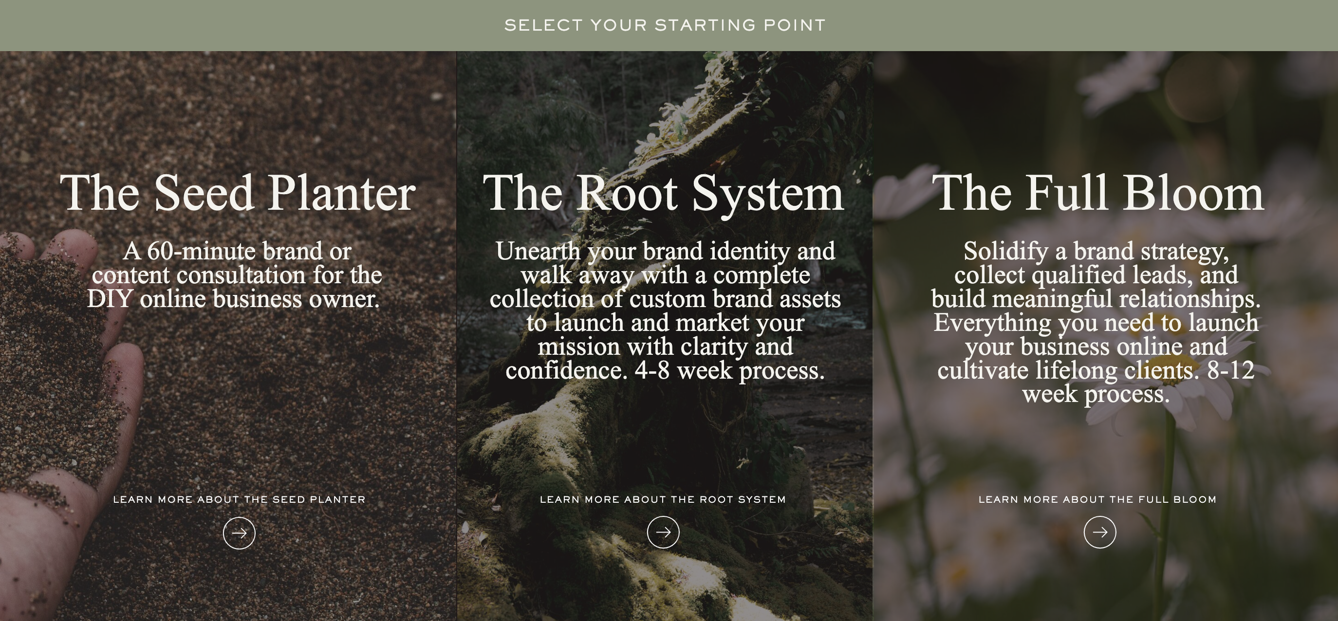 Craft and Being marketing services