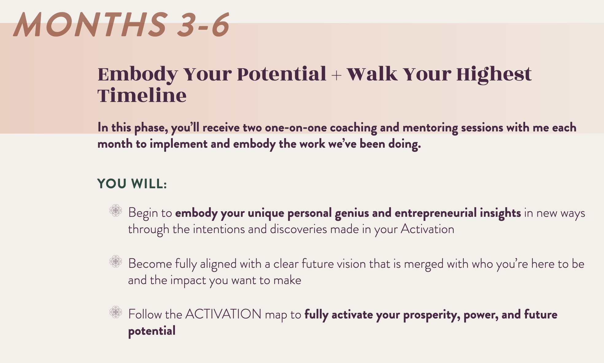 Natalie MacNeil's mentorship sales page program schedule