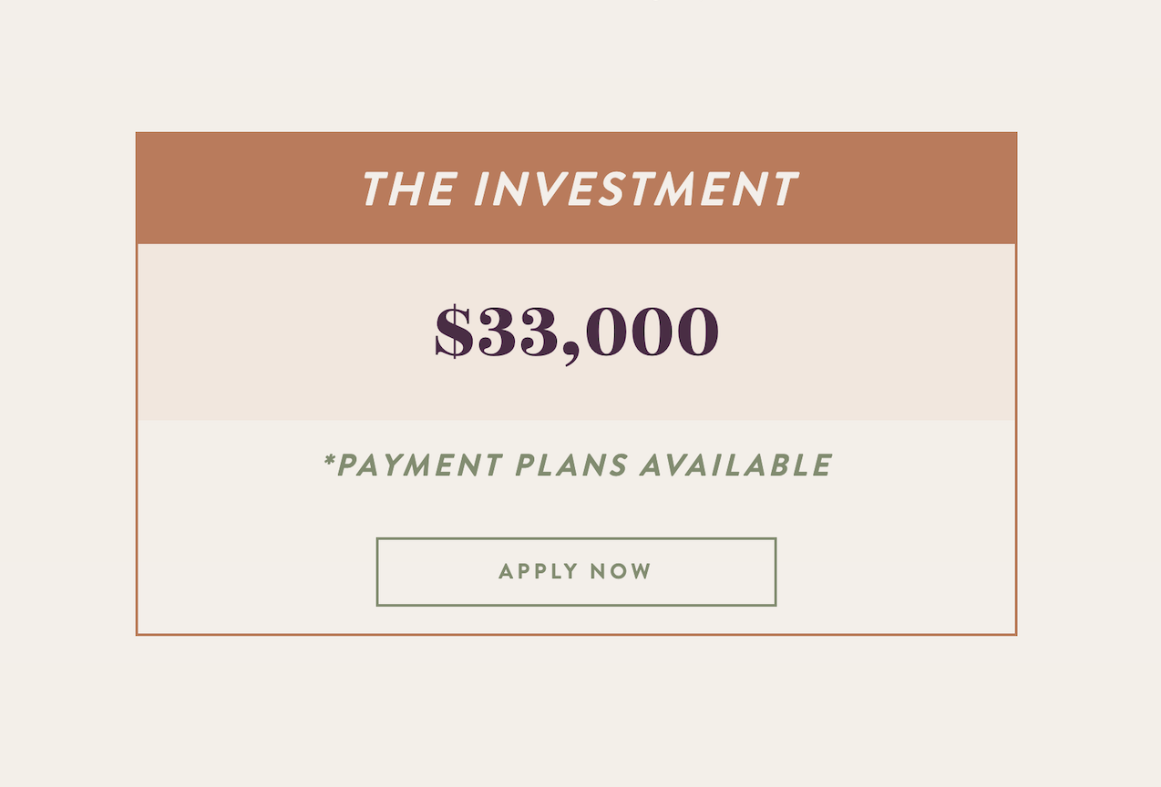 Natalie MacNeil mentorship program pricing