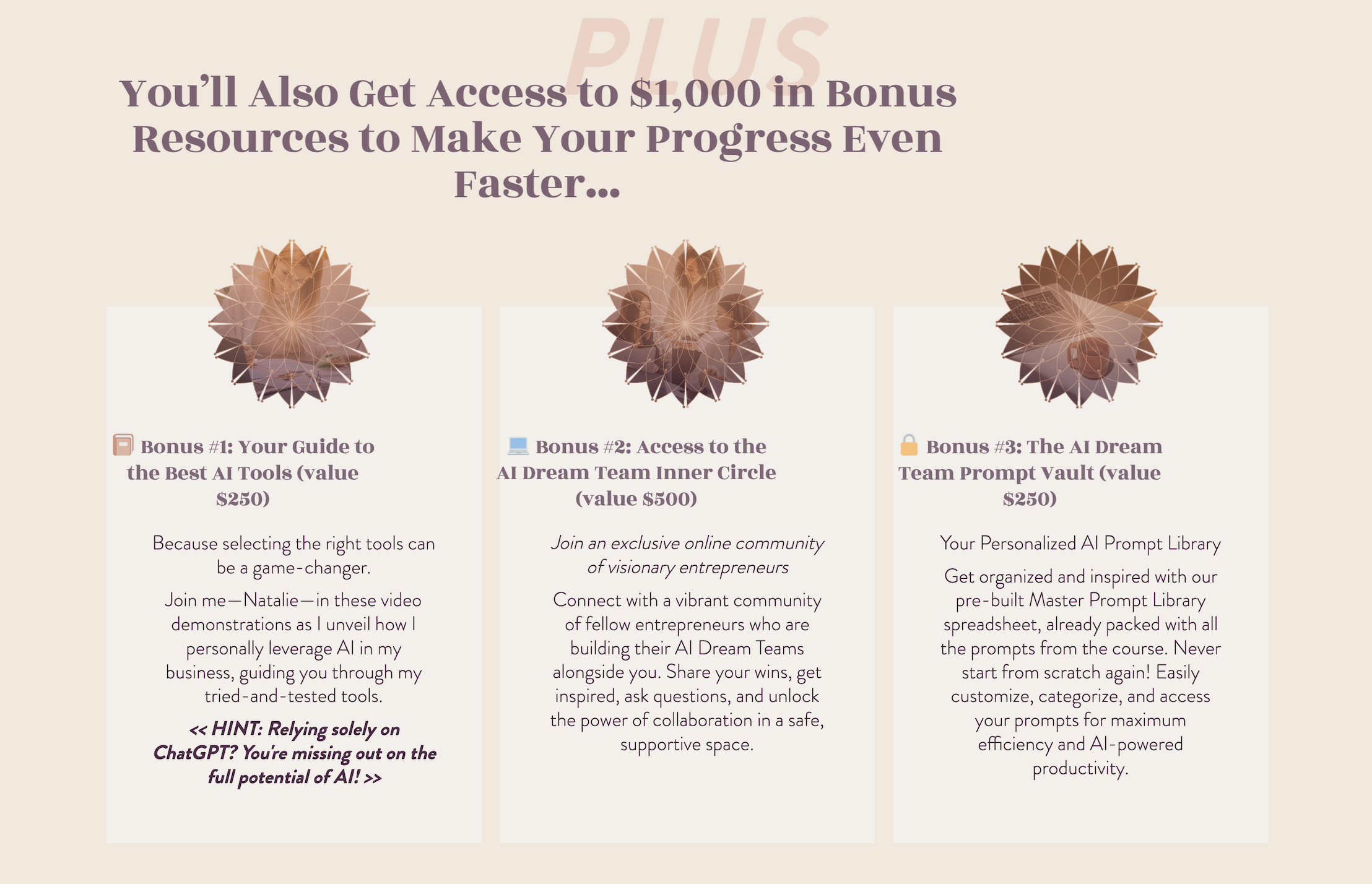 Natalie MacNeil AI Dream Team sales page bonus list